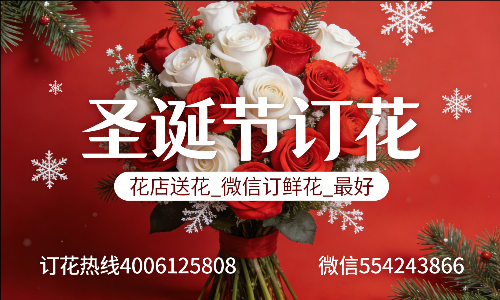 �½�ʯ���ӻ���